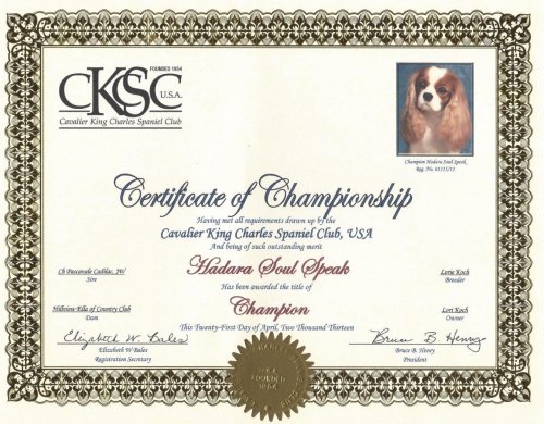 Margot Club Ch Certificate